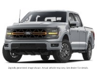 2025 Ford F-150 Tremor 4WD Supercrew 5.5' Box Iconic Silver Metallic  Shot 3
