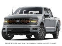 2025 Ford F-150 Tremor 4WD Supercrew 5.5' Box Iconic Silver Metallic  Shot 1