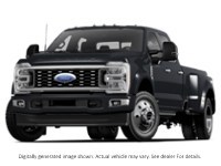 2025 Ford Super Duty F-450 Drw Platinum 4WD Crew Cab 8' Box Agate Black Metallic  Shot 2